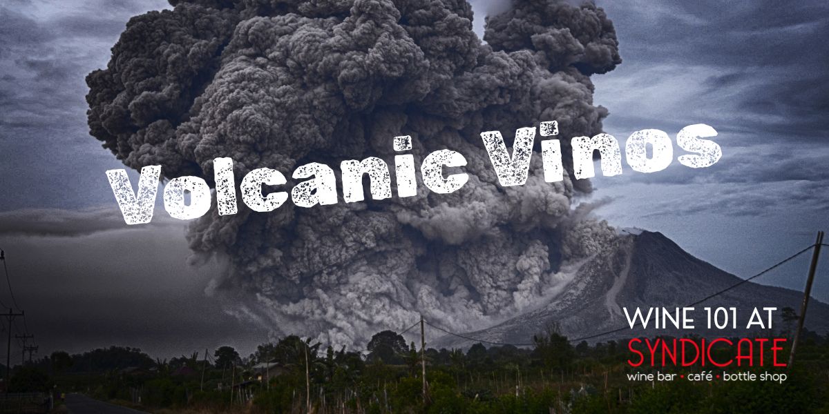 Wine 101: Volcanic Vinos at Syndicate