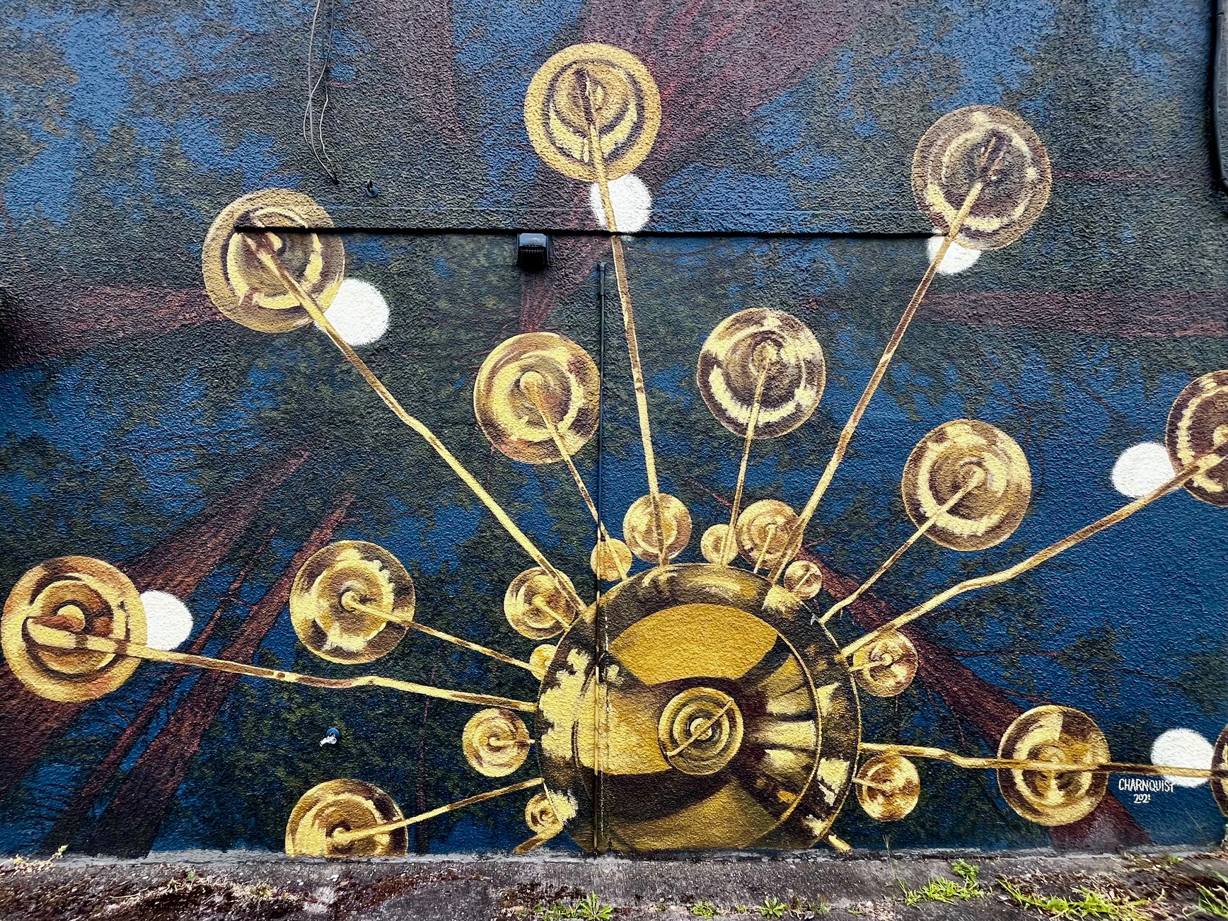 Old Town: A Mural Scavenger Hunt