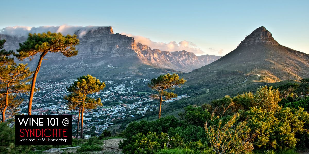 Wine 101: South Africa