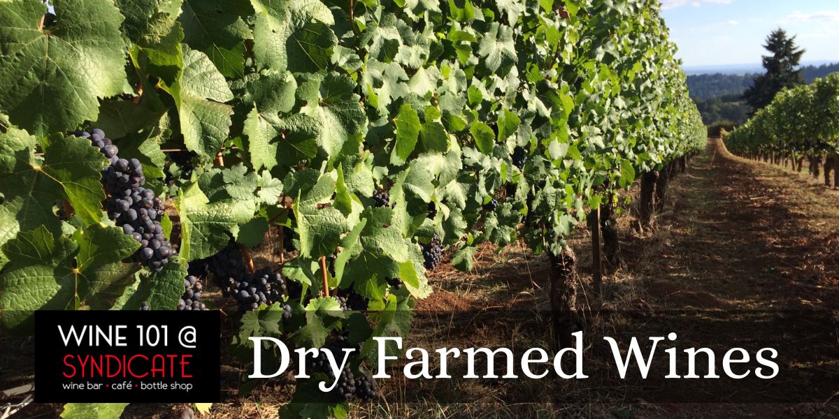 Wine 101: Drive Farmed Wines
